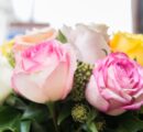 Five flowers which are ideal for congratulating