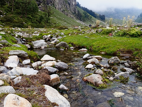 \Valley of Flower Trek -Perfect destination to spend your vacation