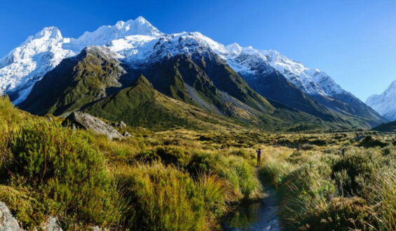 12 Voyaging Areas This mid-year in New Zealand