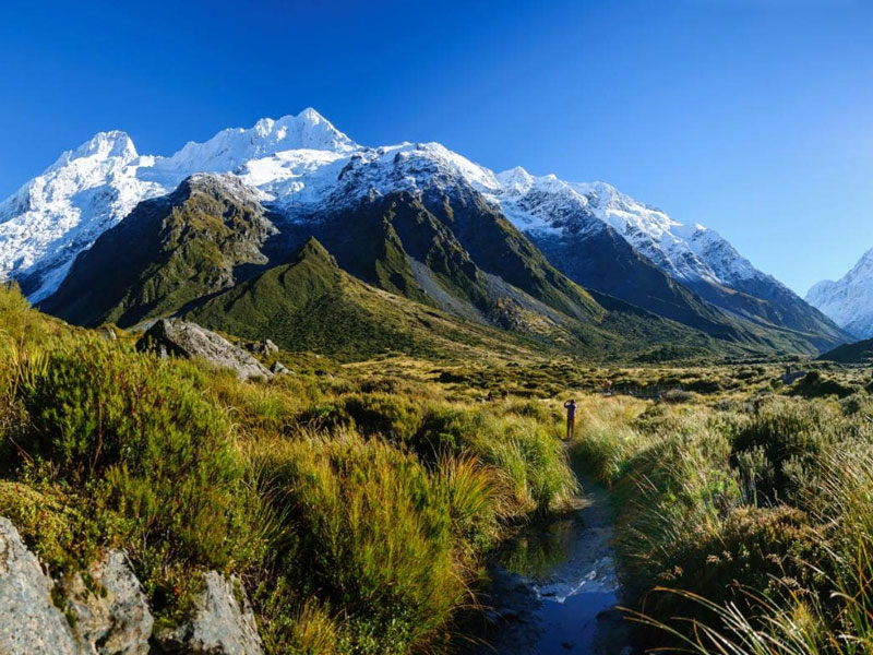 12 Voyaging Areas This mid-year in New Zealand