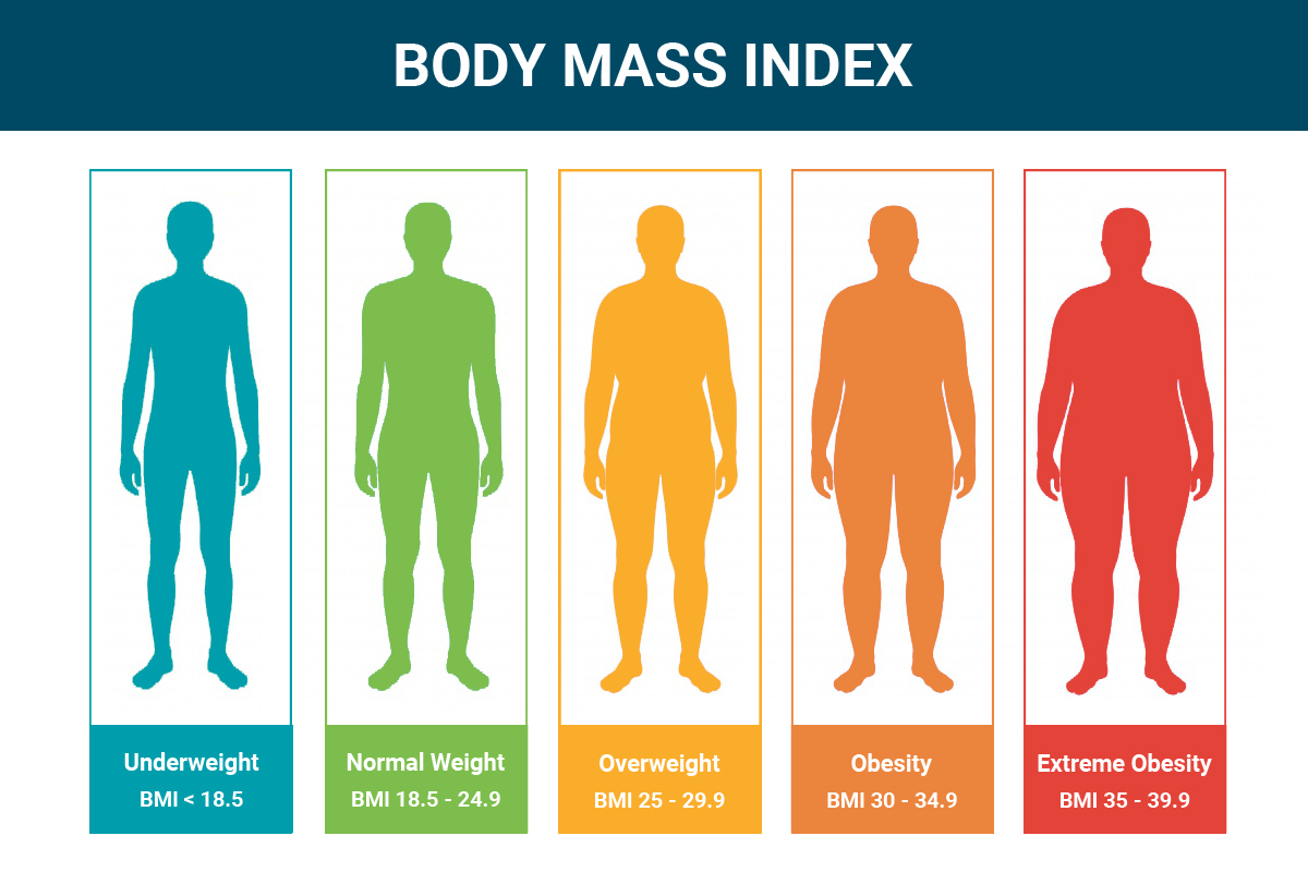 Understanding BMI and Its Role in Healthy Weight Management